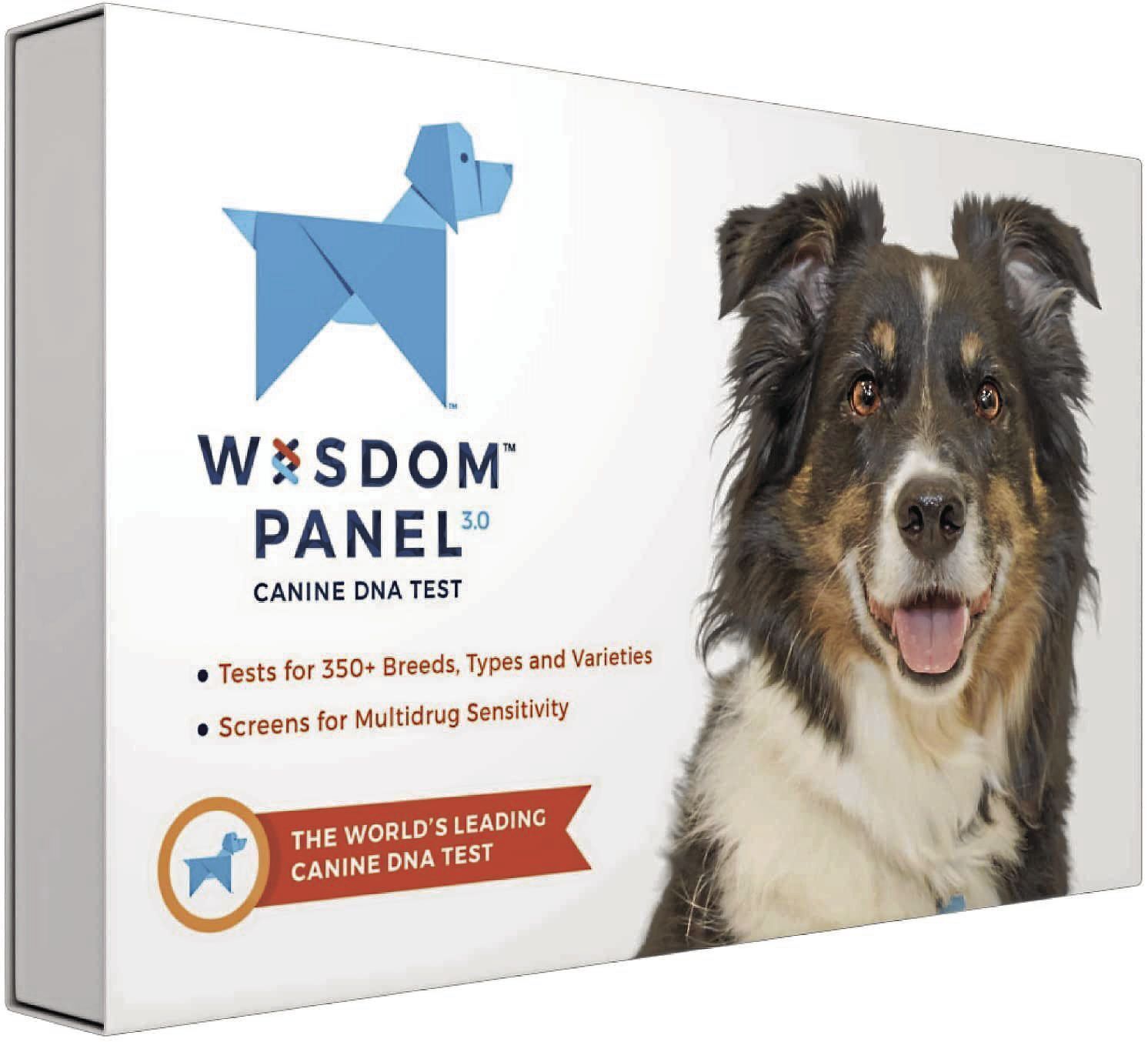 Wisdom panel best sale dog test