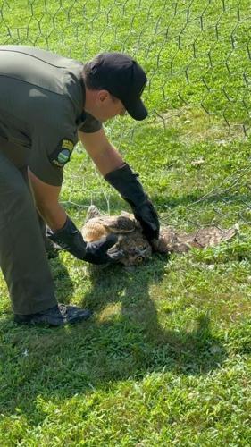 Environmental Conservation Police on Patrol