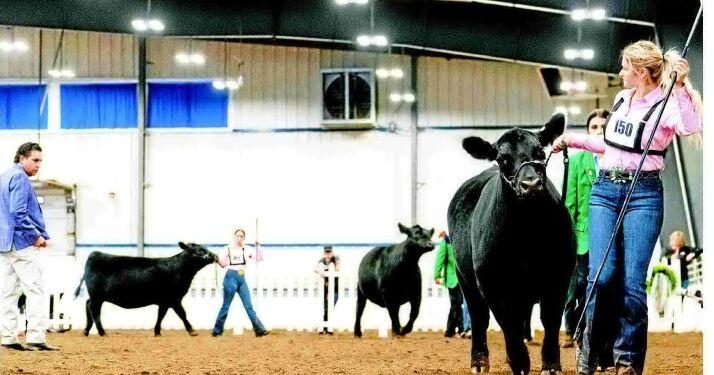 Strutting their stuff