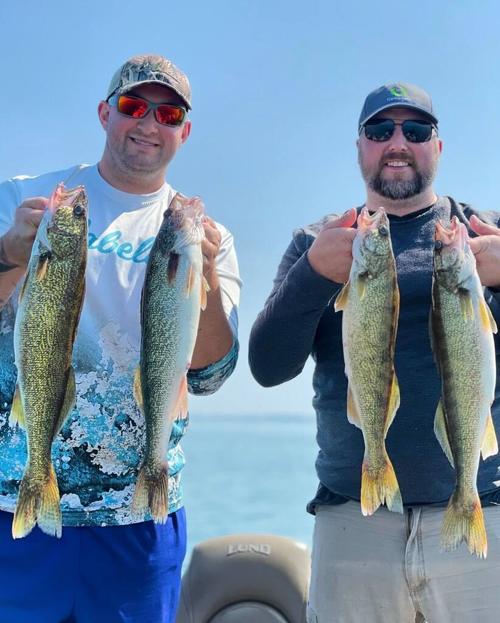 Lake Erie walleyes