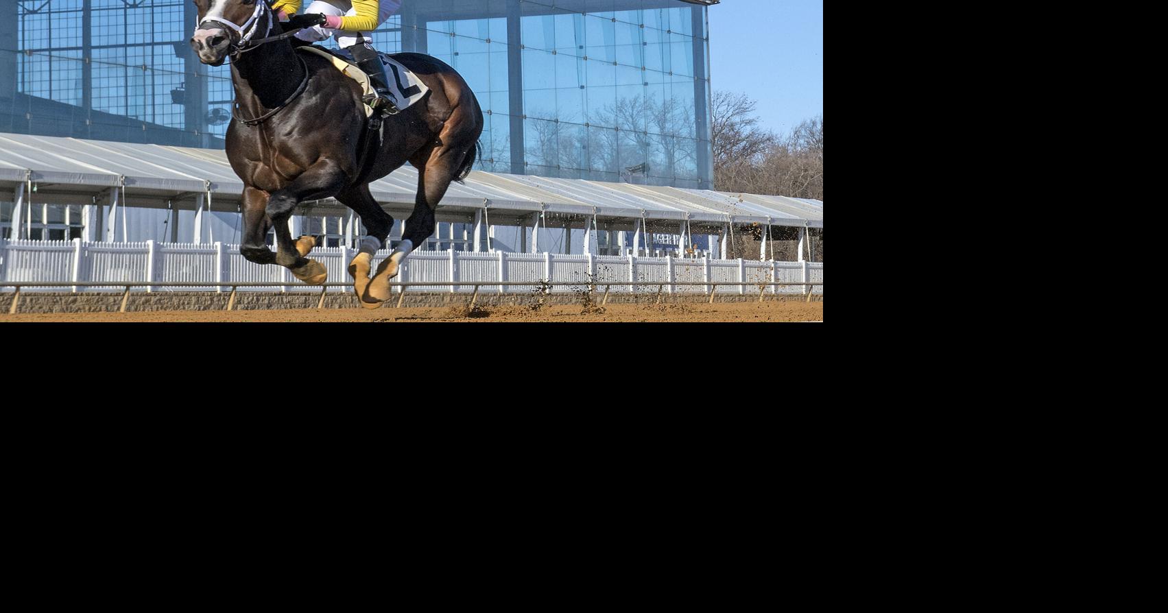 Preakness undercard full of competitive races