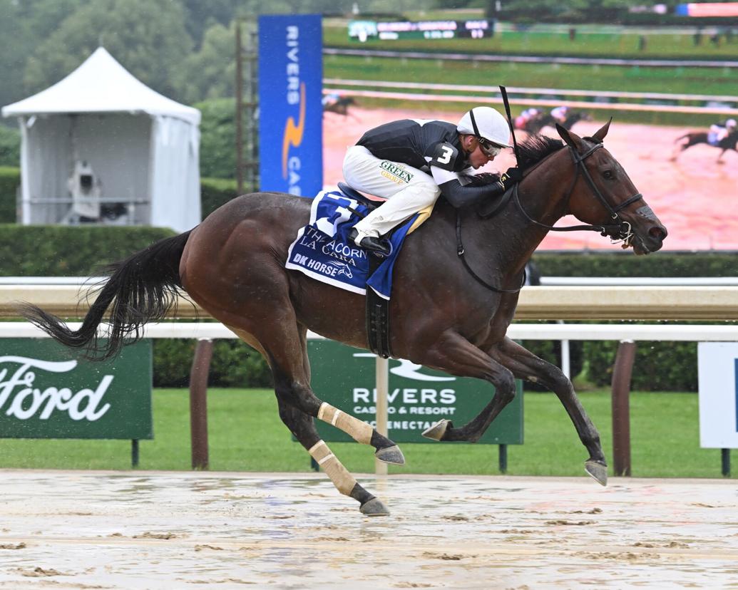 Post Time: Quality Alabama field lines up at Saratoga