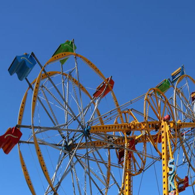 sky wheel camel kingdom