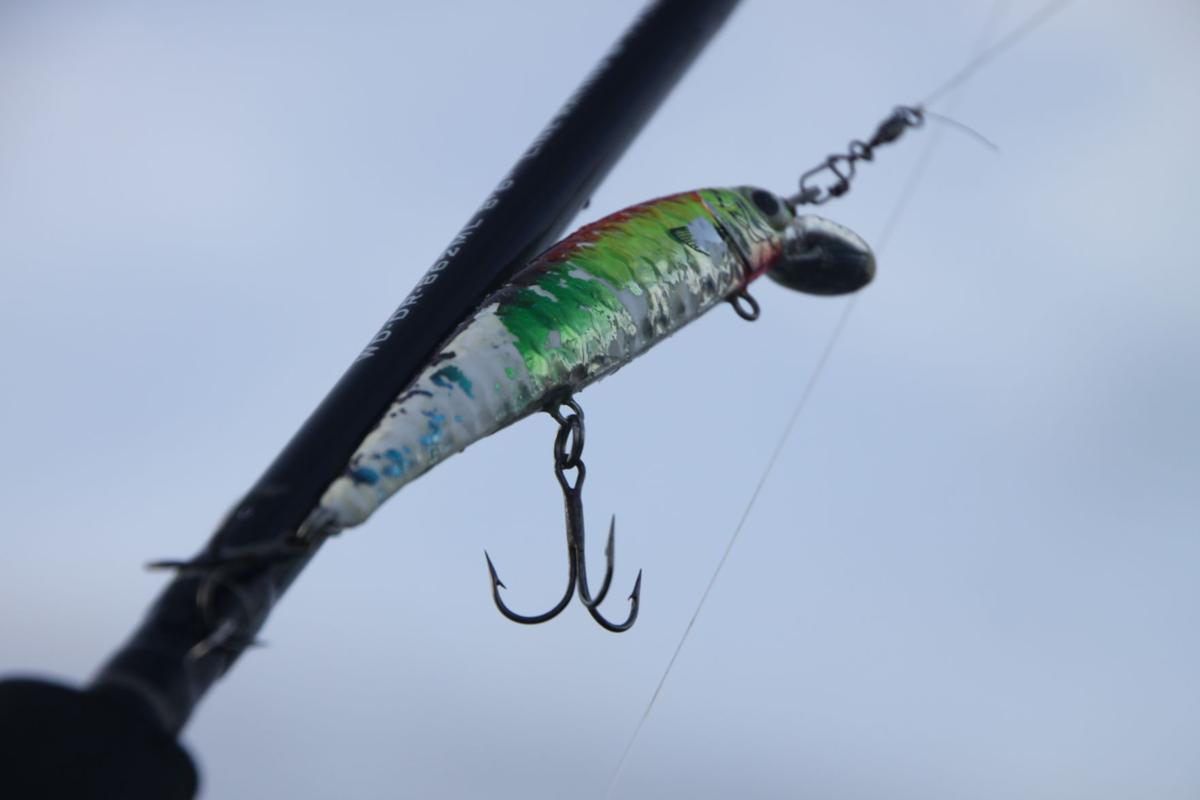 Fish In Spotlight For Erie Chautauqua Vip Day In Dunkirk Sports