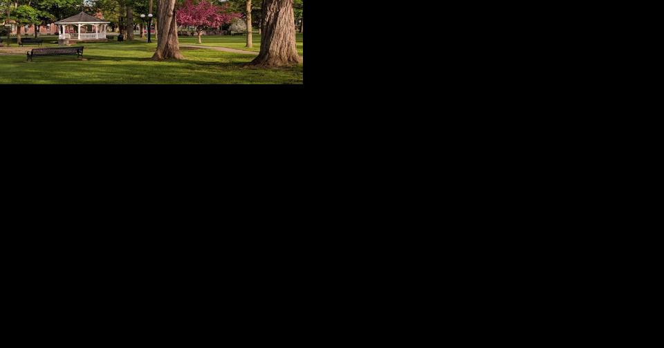 Lavender Festival in Angelica to honor memory of one of its founders - Vimarsana News