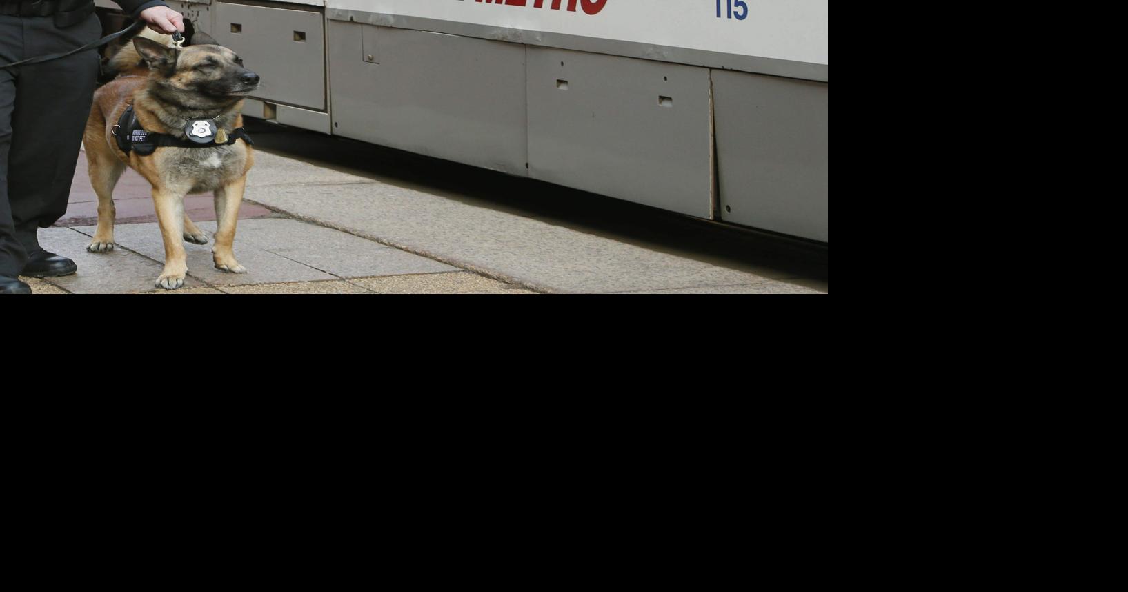 Second NFTA transit police officer tests positive for Covid-19