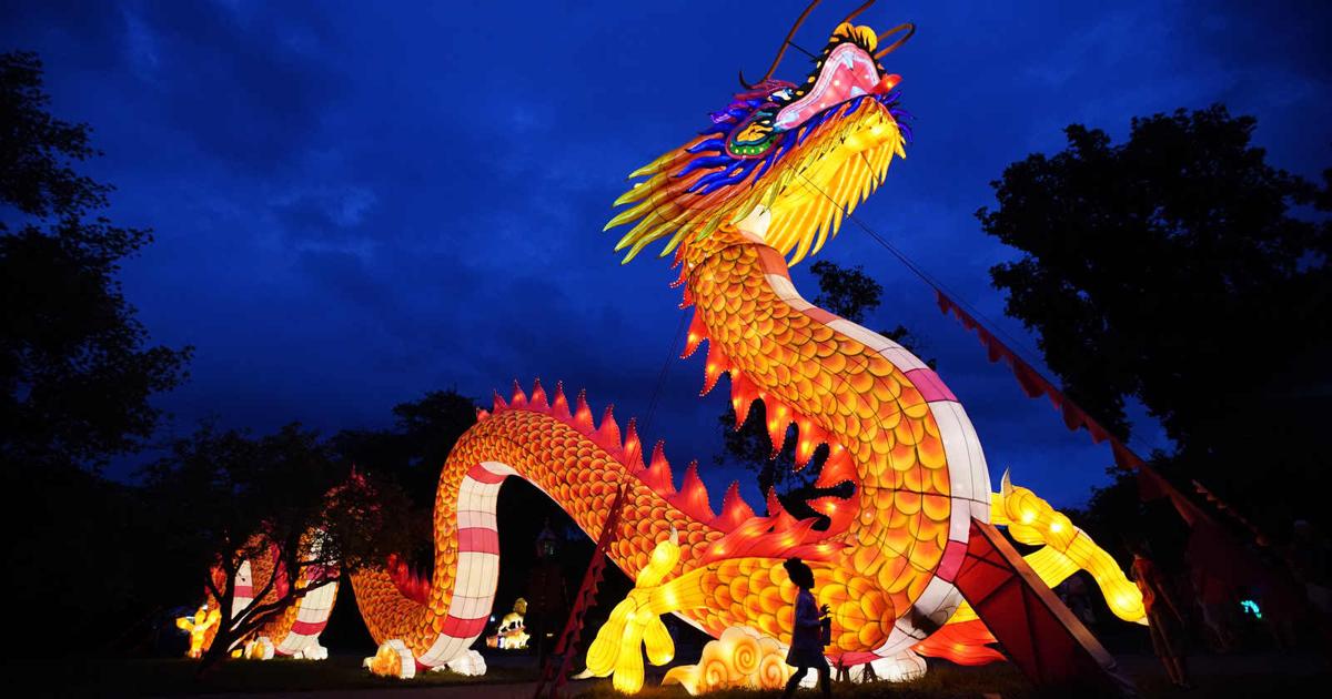 Photos Zoomagination Festival of Lanterns and Lights at the Buffalo Zoo