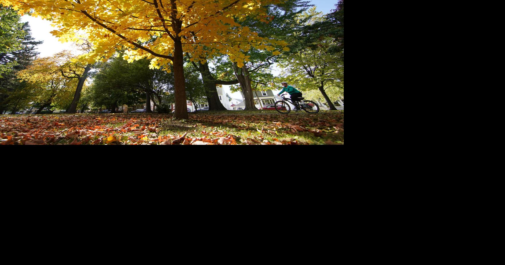 Where to see fall foliage close to Buffalo