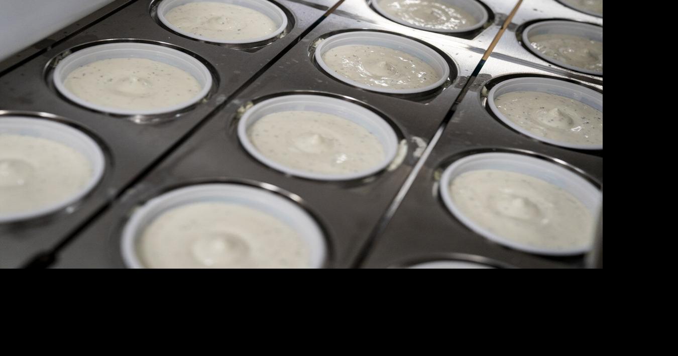 Photos Made in WNY Bison French Onion Dip