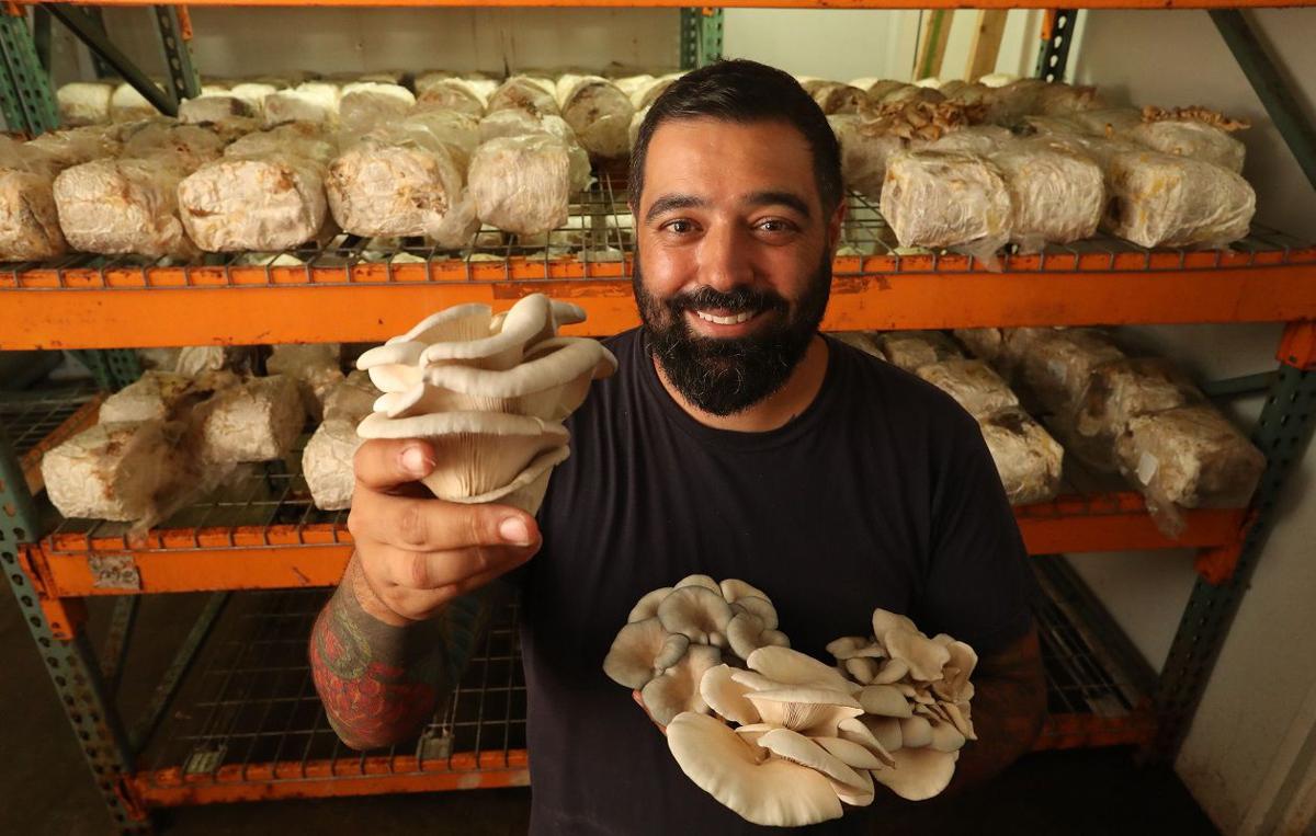 At Flat 12 On The West Side Business Is Mushrooming Dining Buffalonews Com At Flat 12 On The West Side Business Is Mushrooming Dining Buffalonews Com