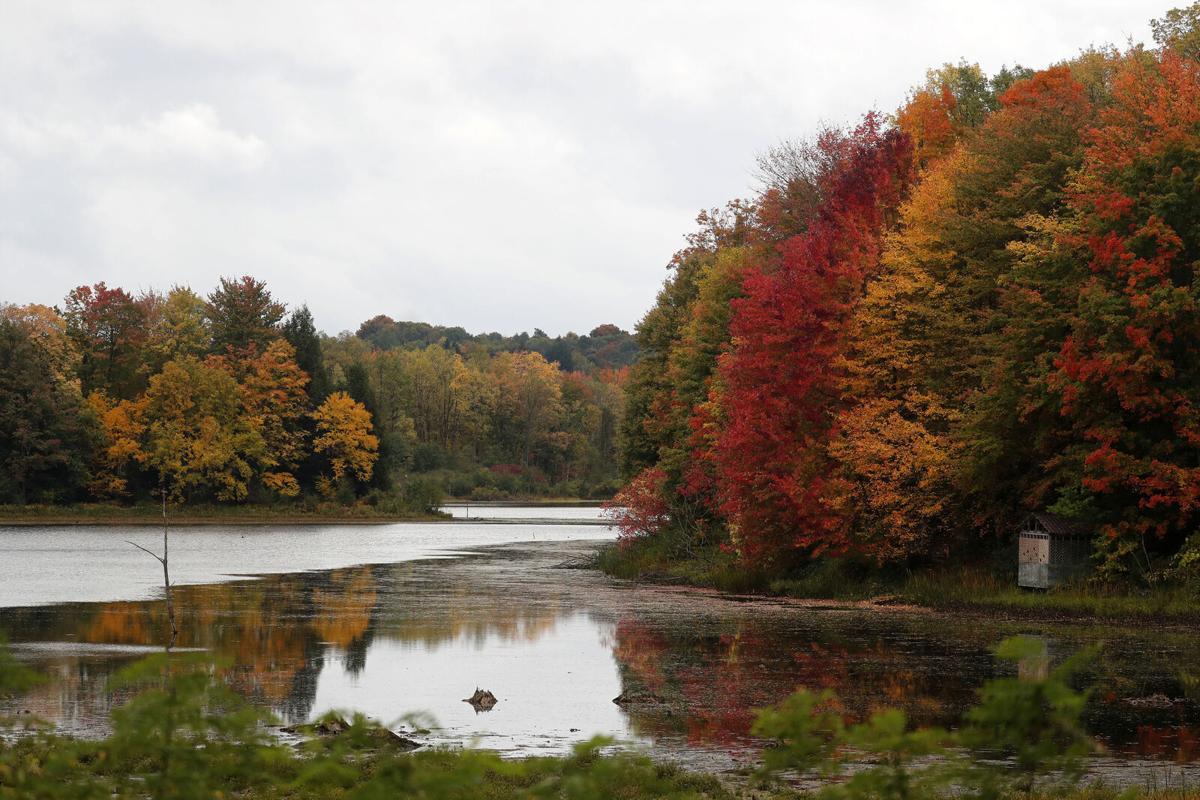 Afternoon drive Take a deep breath, connect to nature at Beaver Meadow