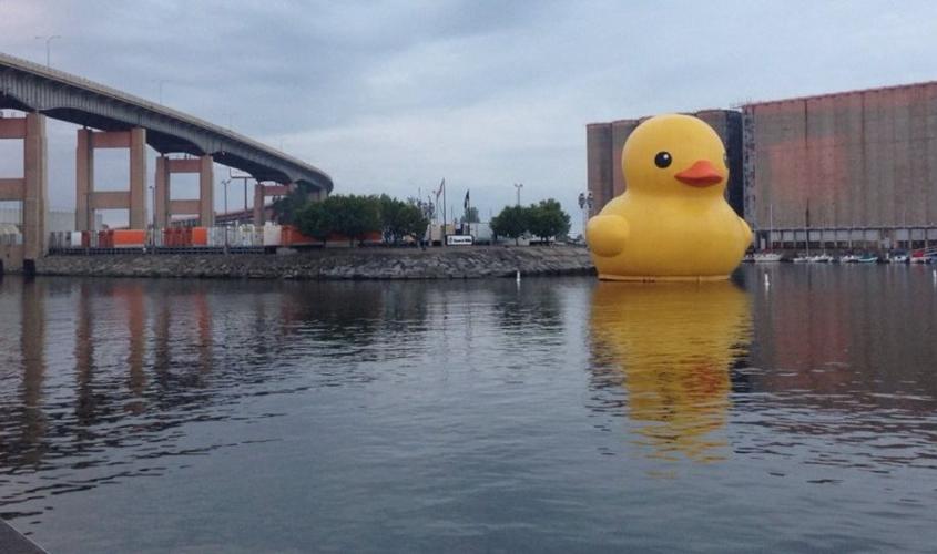 Giant Rubber Duck now swimming on Buffalo waterfront