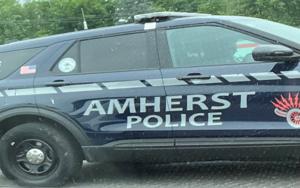 Good Morning, Buffalo: A domestic violence report was made Dec. 3. Why did it take Amherst 4 months to make an arrest?