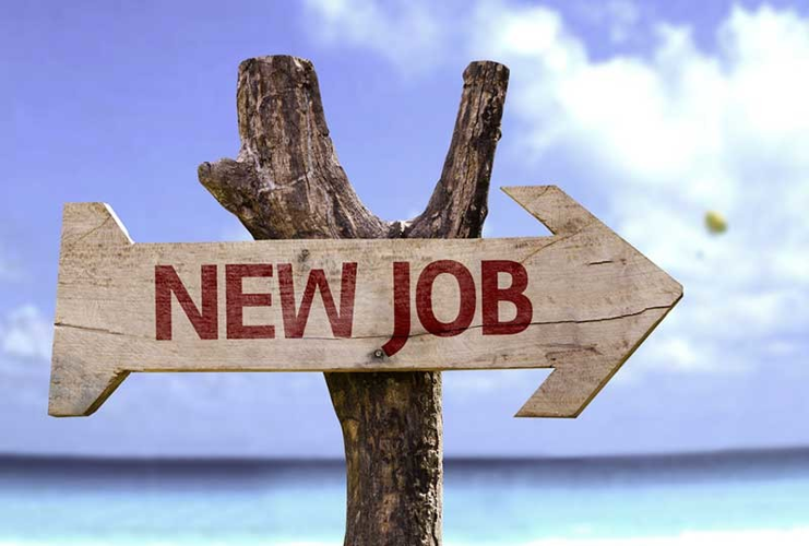 Online Resume Services image2.png