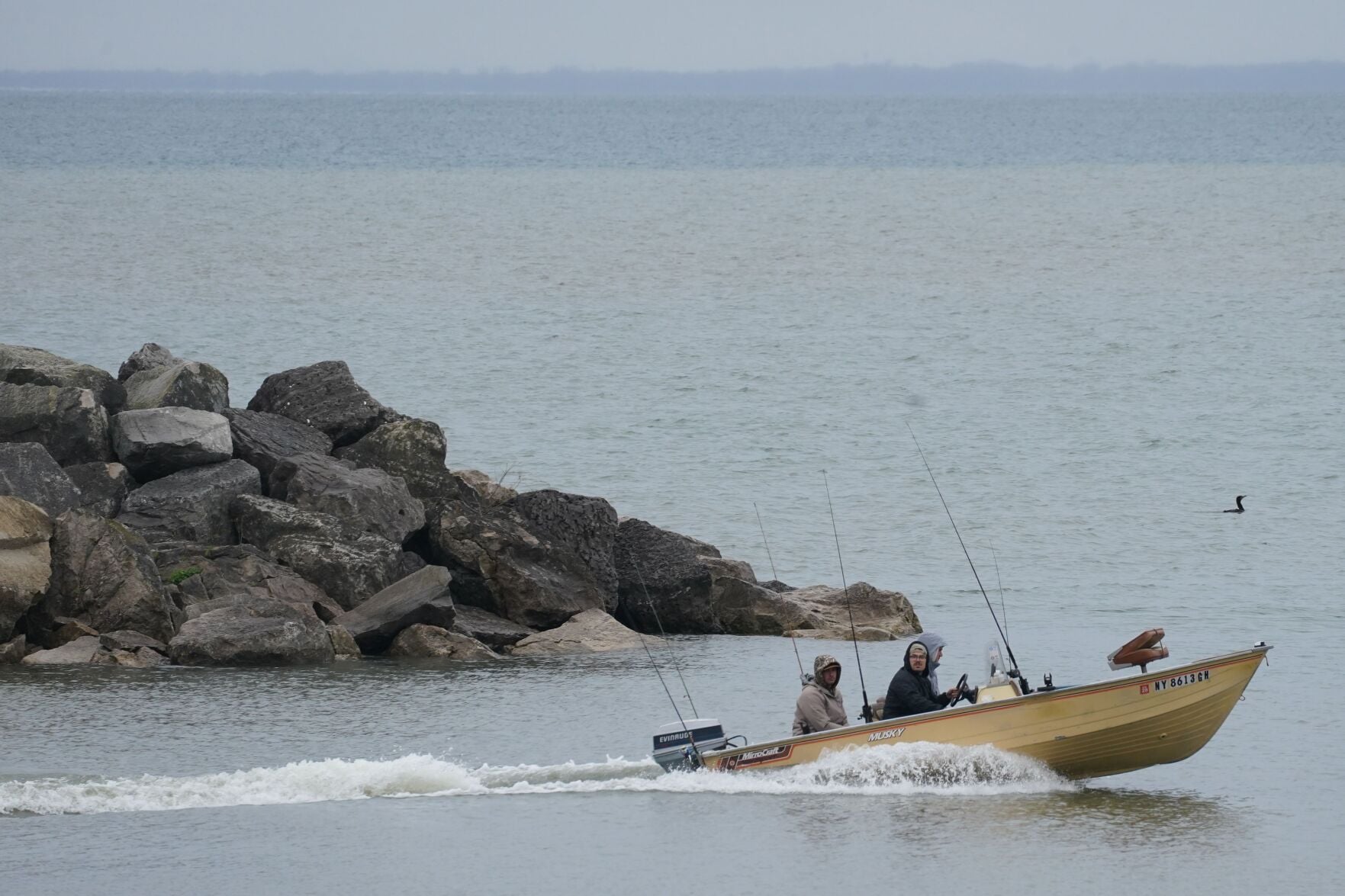 Good Morning, Buffalo: New walleye, yellow perch guidelines in