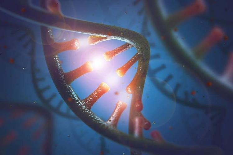 RNA droplets may have helped start life on Earth. A new study explains why they form