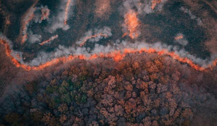 UB to lead $2 million National Science Foundation project on wildfire resilience