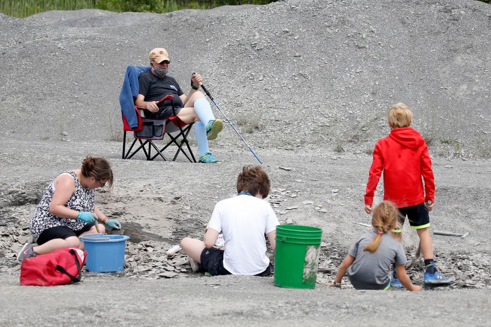 penn dixie fossil dig