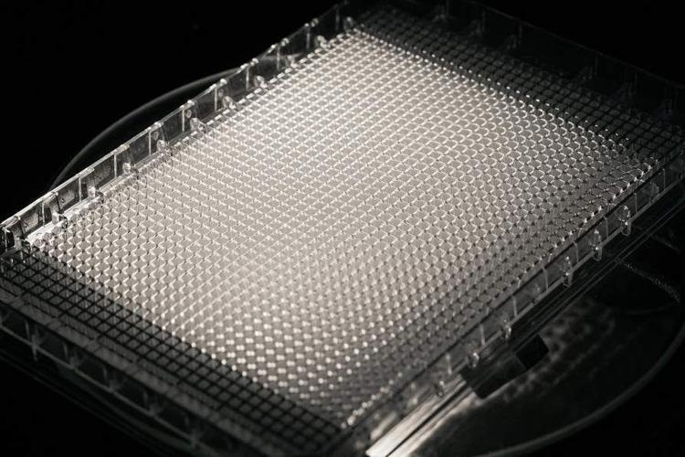 NIH awards UB-HWI’s National Crystallization Center $5.5 million to advance scientific research nationwide