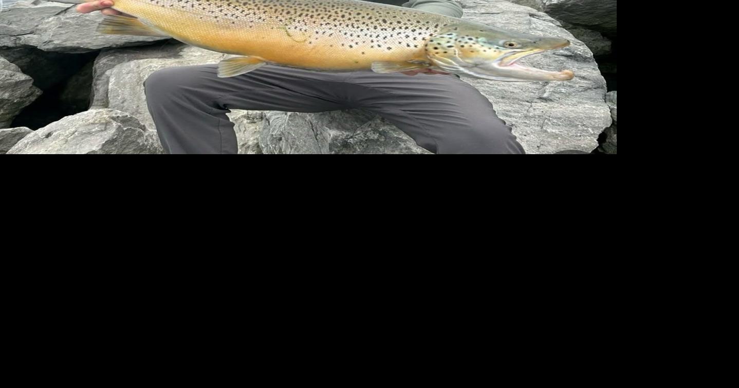 The Fishing Beat: Lakes have flipped. What does it mean for anglers?