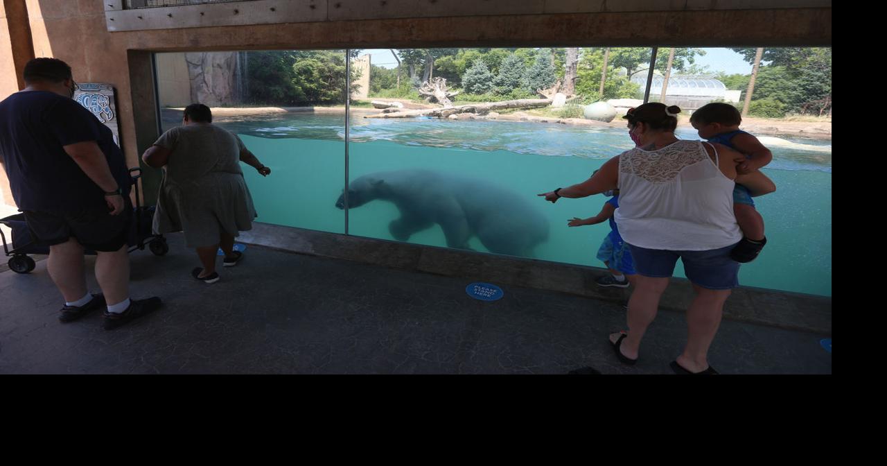 Buffalo Zoo to require masks indoors for everyone 3 and up