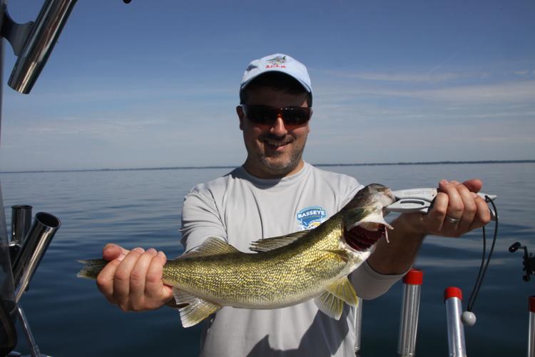 Walleyes remain abundant in Lake Erie, but is there a catch?