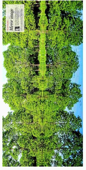 Mirror image