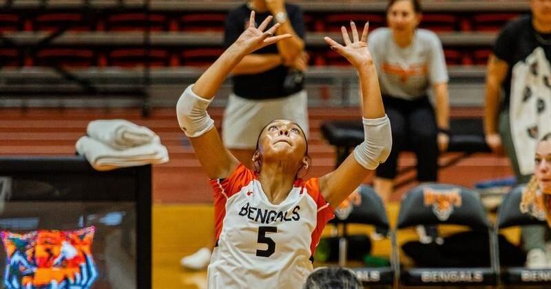 Buffalo State women’s volleyball drops two at Bengal Challenge