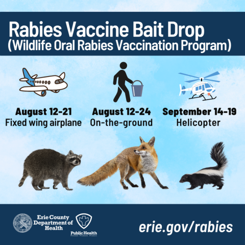 Rabies vaccine distribution scheduled by air and on ground for August and September in Erie County