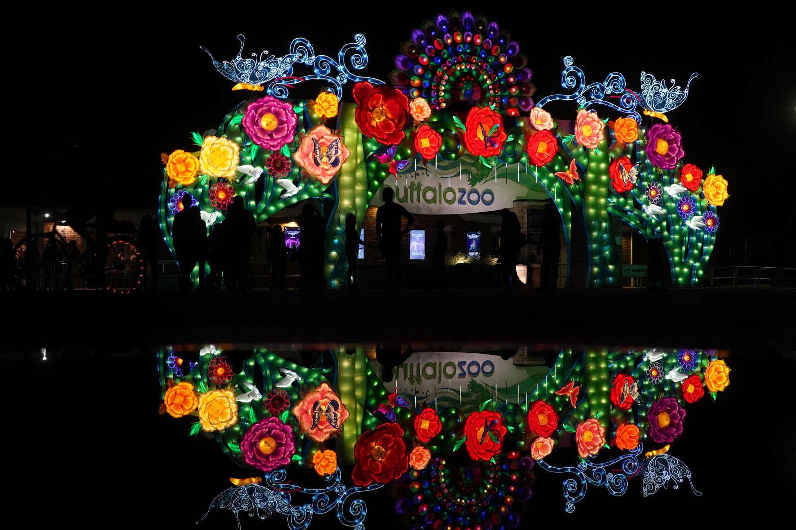 Photos Zoomagination Festival of Lanterns and Lights at the Buffalo Zoo