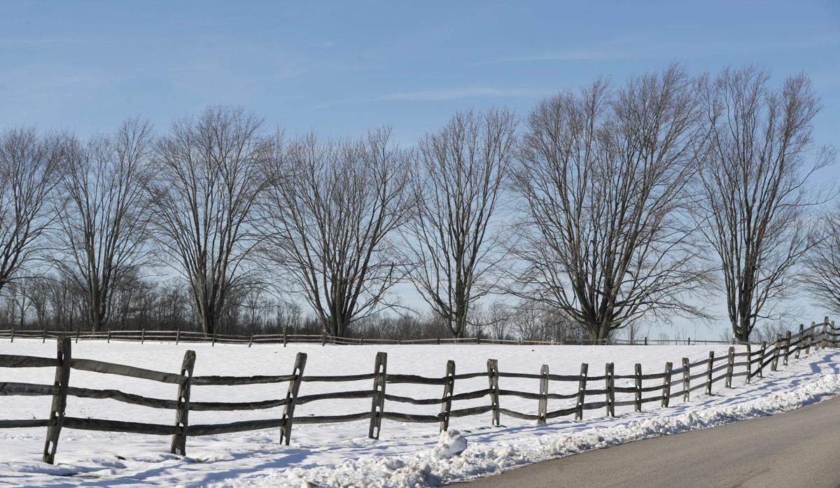 Winter Walks Reveal A New Landscape At Area Parks Nature