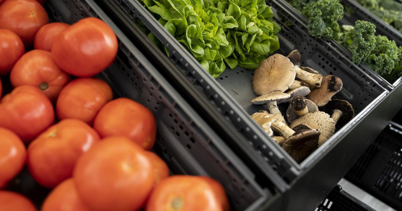 Free workshop nutrition literacy workshop is set for July 5 in Niagara Falls - Vimarsana News