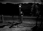 #14. The Night of the Hunter (1955)