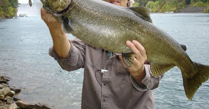 Outdoors calendar: When is the next free fishing day?