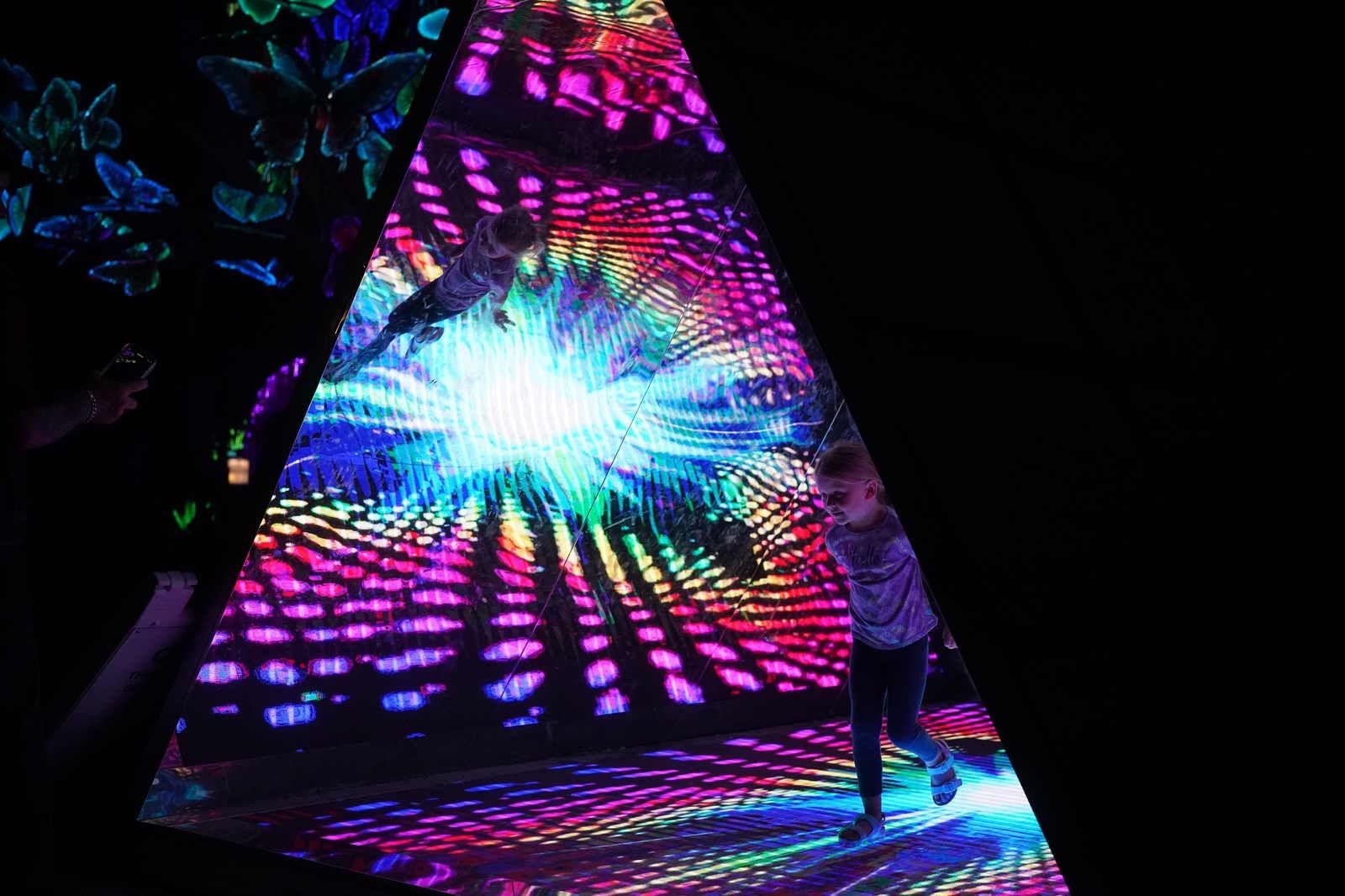 Photos Zoomagination Festival of Lanterns and Lights at the Buffalo Zoo