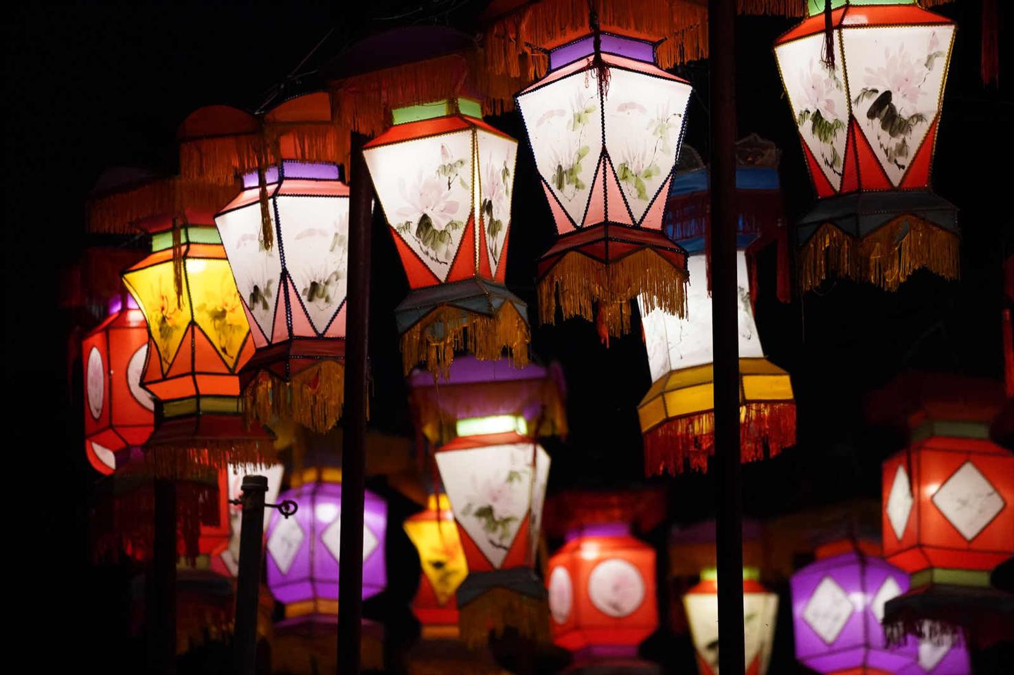 Photos Zoomagination Festival of Lanterns and Lights at the Buffalo Zoo