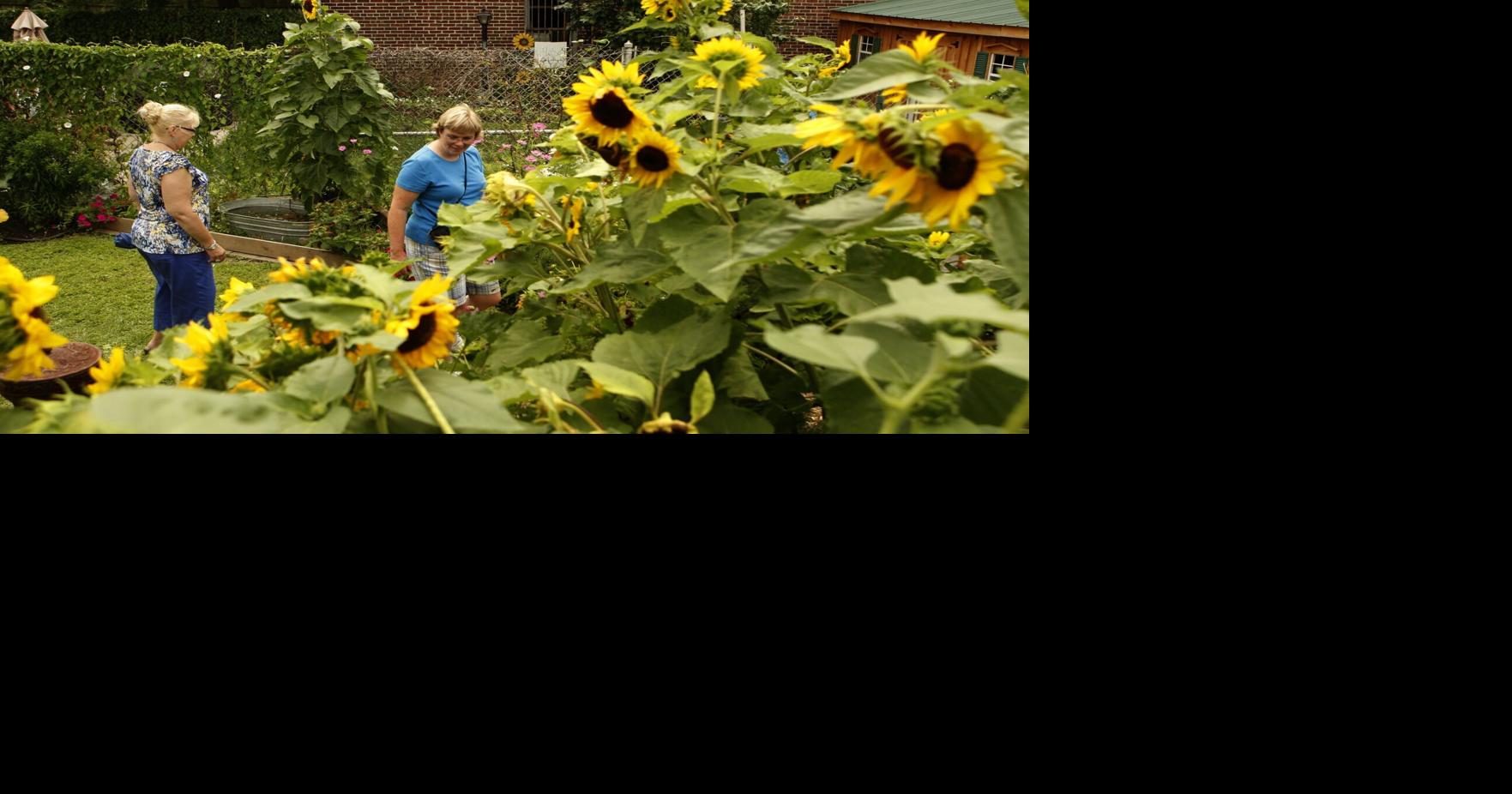 Another Voice: Local tourism builds local economies