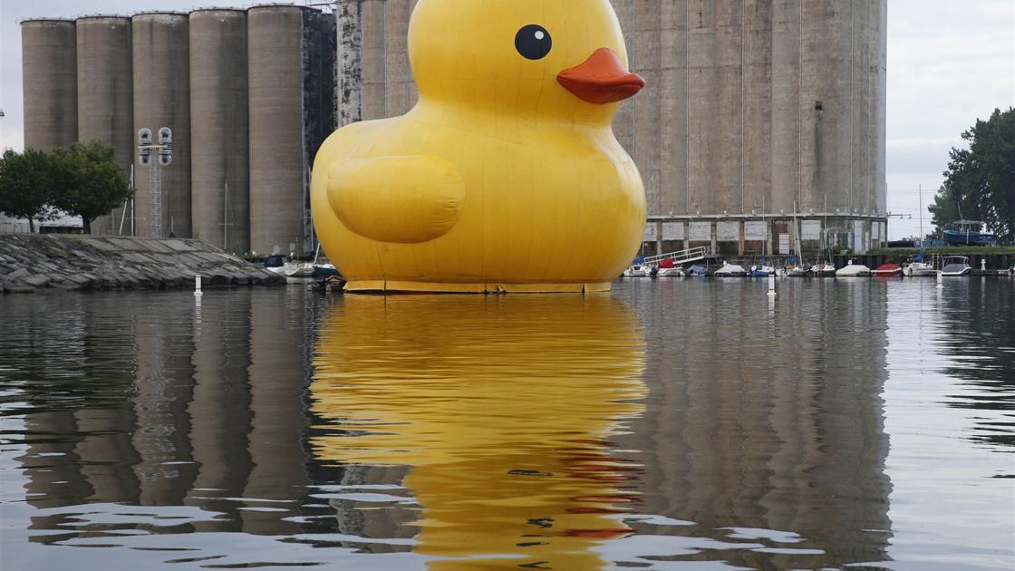 Worlds Largest Rubber Duck 2025