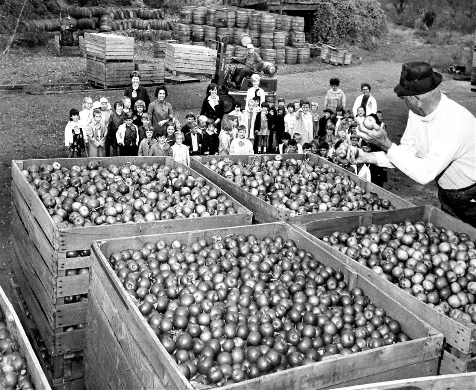A Closer Look Mayer Brothers Cider Mill