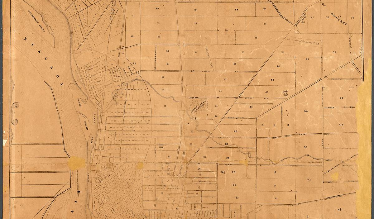 The Buffalo of Yesteryear When Black Rock was a village, not a