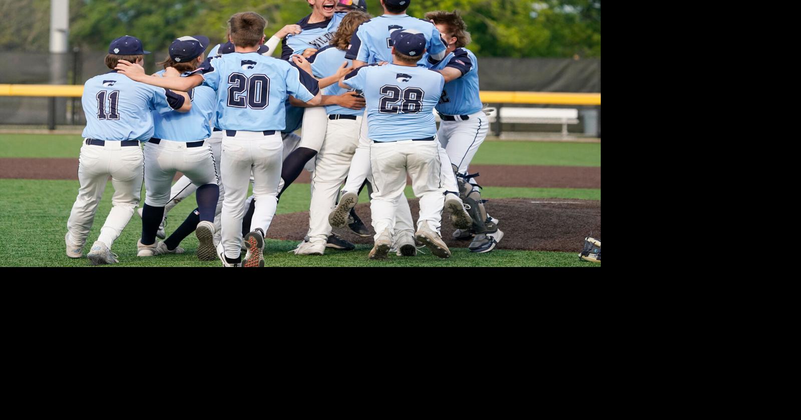 Depew baseball wins first state championship in comeback, beats Lansing 54