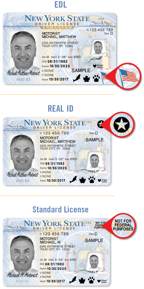 how much renew license ny