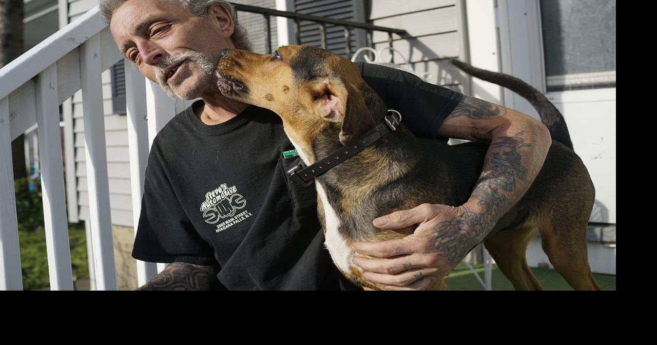 Dog stabbed by owner's 'jealous' girlfriend makes full recovery