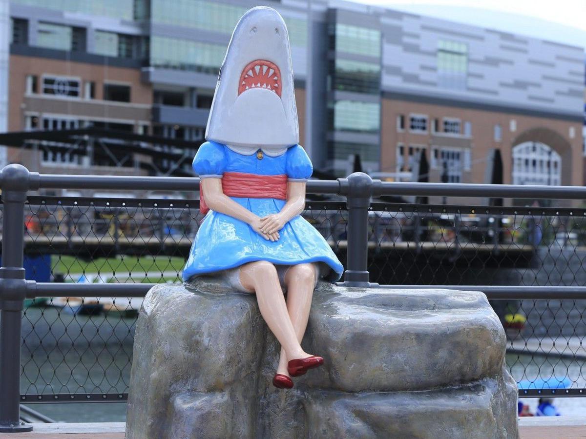 Shark Girl to undergo major beauty treatment this fall | Arts | buffalonews.com