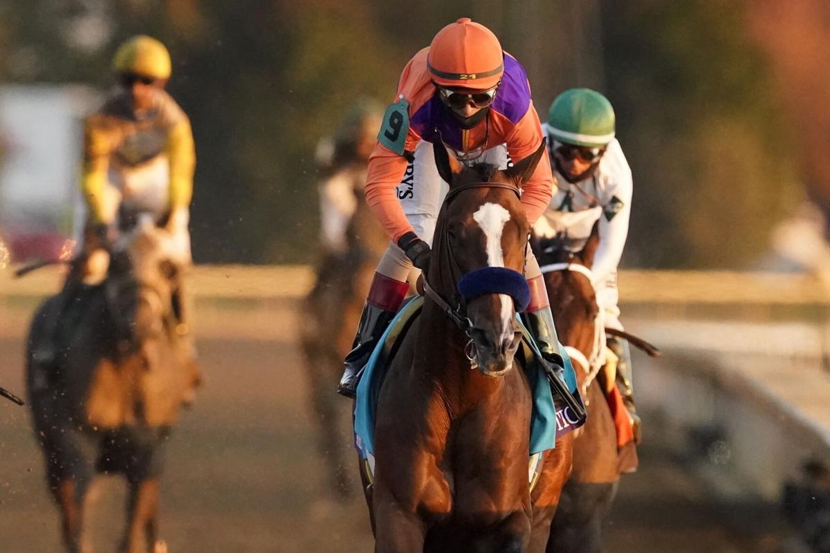 Authentic breeders cup