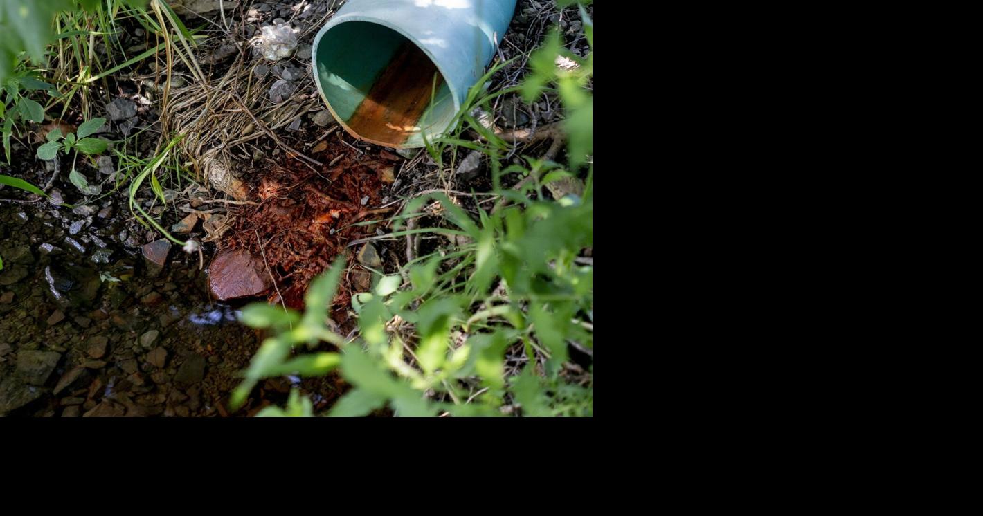 Seeping groundwater could mean landfills are leaking near Niagara Falls park, experts say