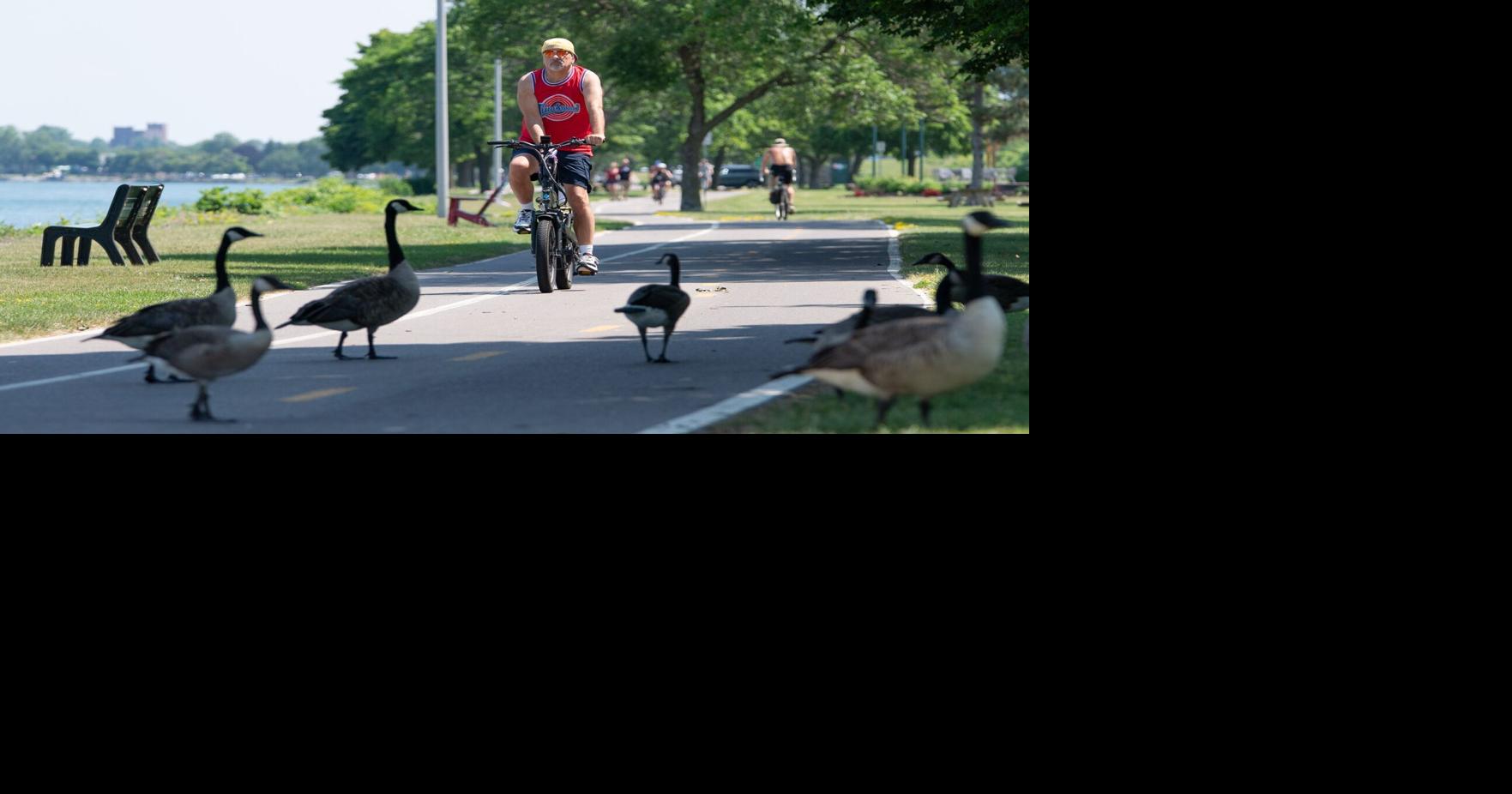 Top Buffalo News headlines for Sunday, July 26