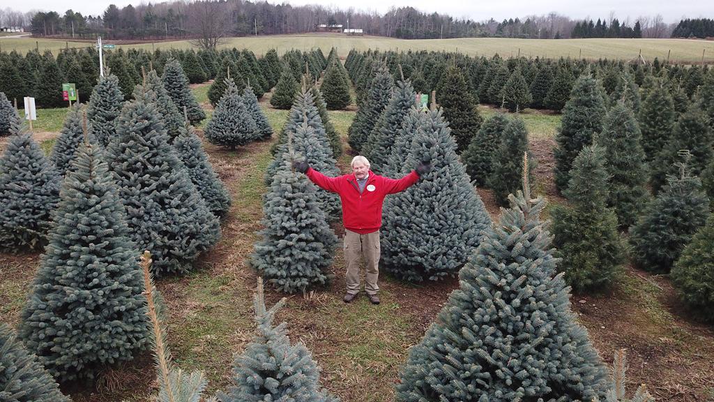 Visit These Christmas Tree Farms To Cut Your Own Or Pick Your Perfect Tree Entertainment Buffalonews Com