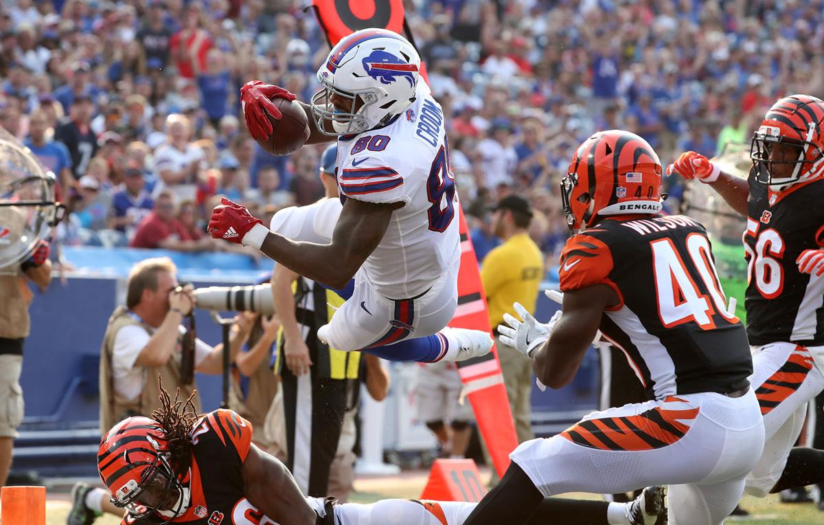 1011009355 McCoy Sports Bills Cincinnati Bengals
