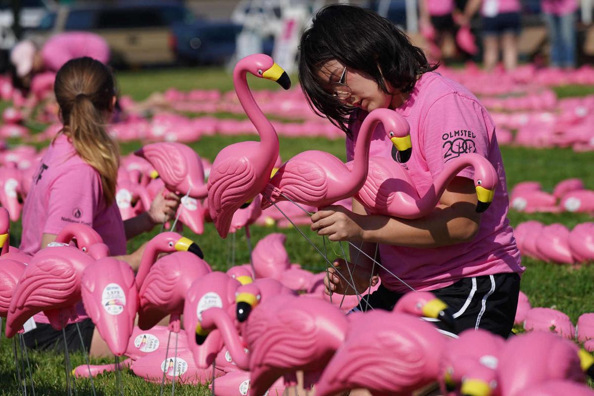 June 23: National Pink Flamingo Day 